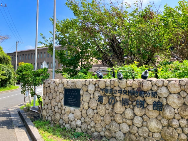 海の博物館