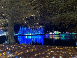 河内町イルミネーション