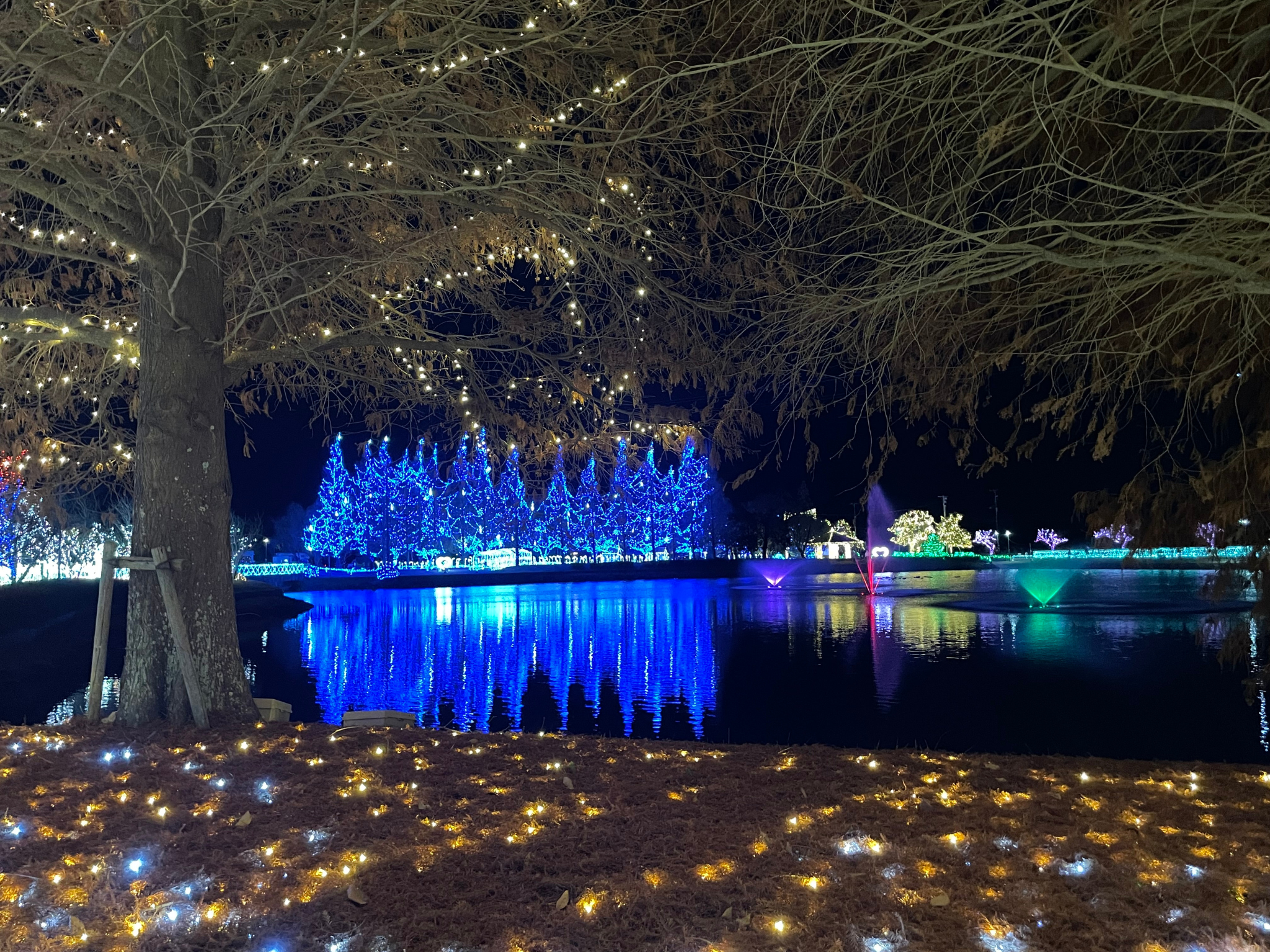 河内町イルミネーション